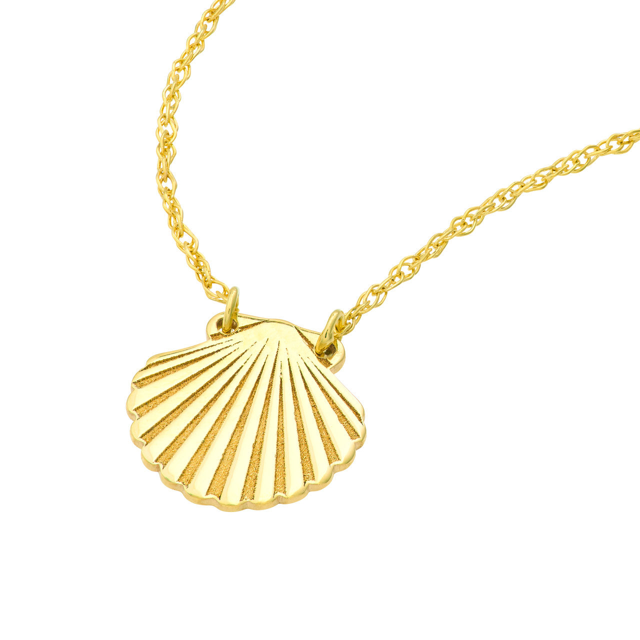Seashell Pendant Necklace