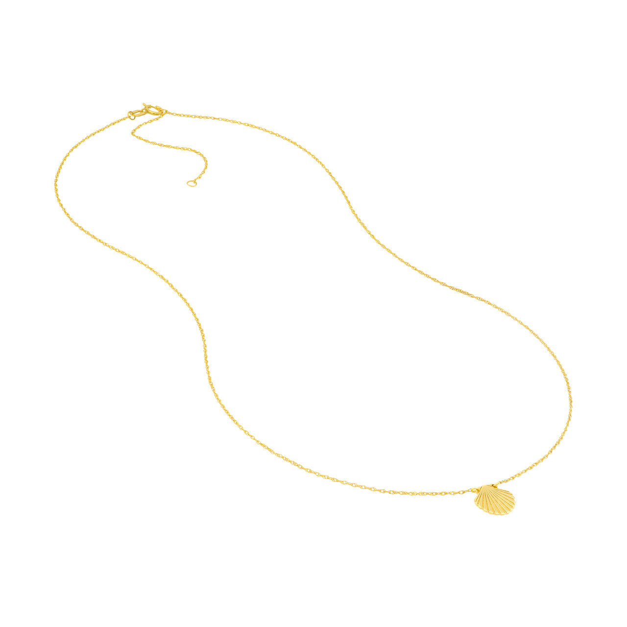 Seashell Pendant Necklace