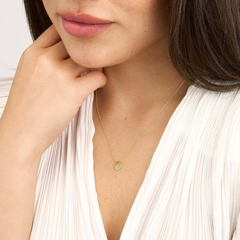 Seashell Pendant Necklace