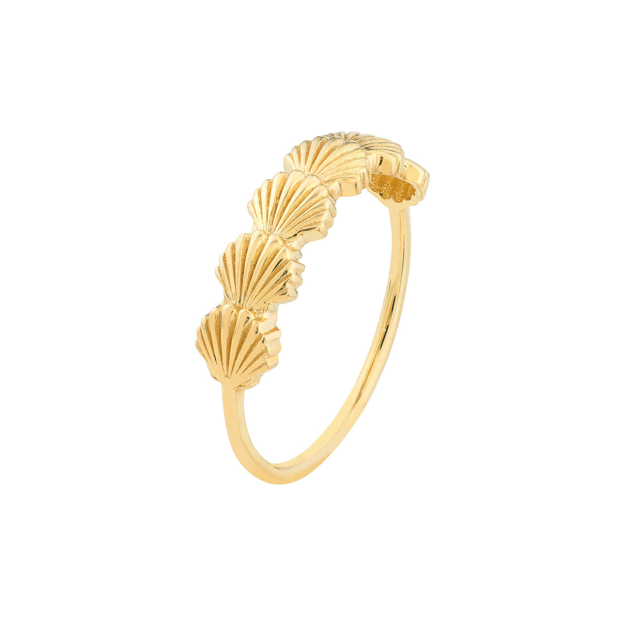 Bague Coquillage Pétoncle