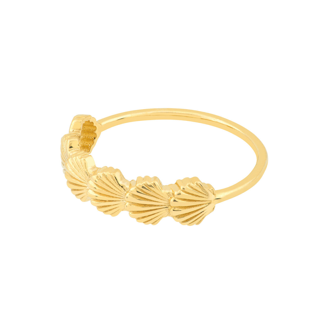 Bague Coquillage Pétoncle